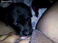 Fat Chinese female is having pleasure with a cute little puppy